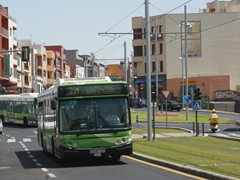 Busse sind das zweite Standbein des ÖPNV auf Teneriffa