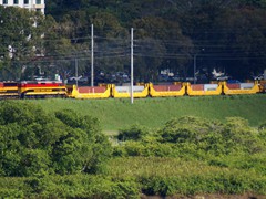 Die Panama Canal Railway befrdert vornehmlich Blechkisten